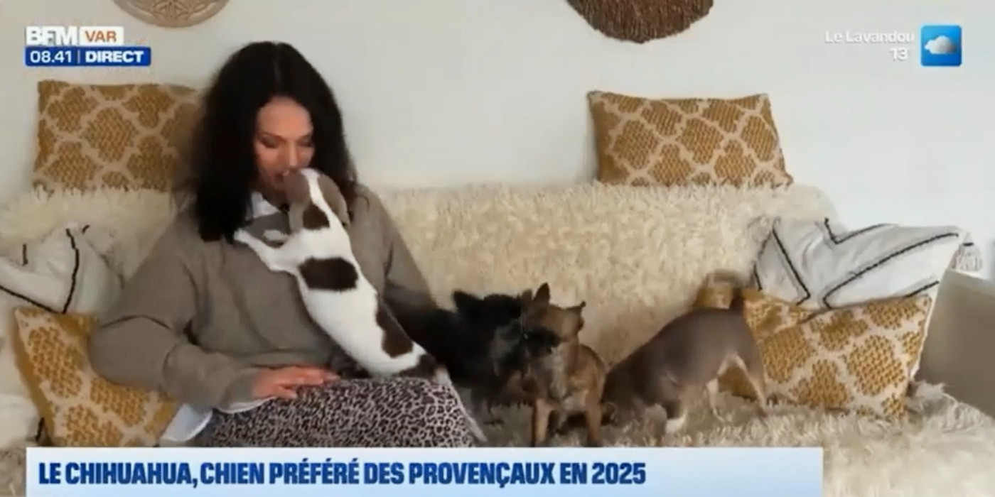 Mes Peluches sur BFM